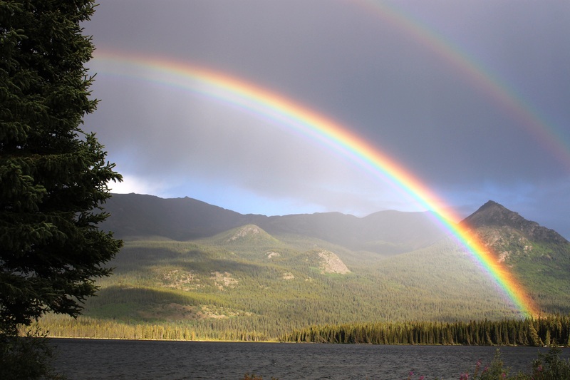 Rainbow LPV